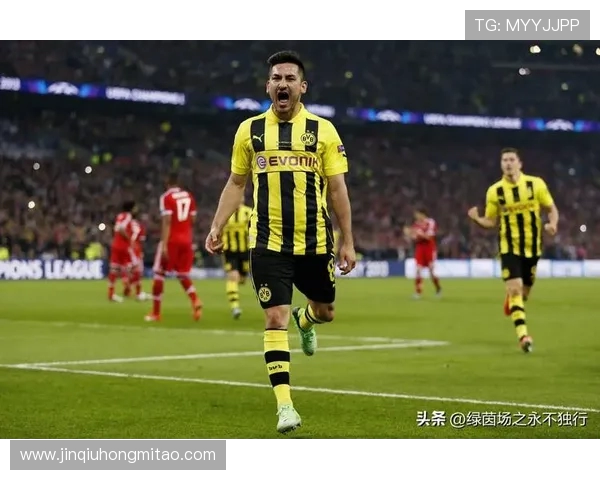 京多安的足球旅程与成就解析:从德甲到英超的辉煌历程与未来展望